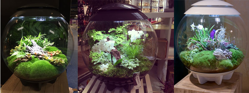 Brumisateur Automatique Terrarium BiOrb Air